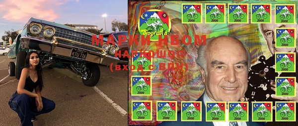 PSILOCYBIN Няндома