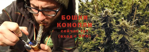 PSILOCYBIN Няндома