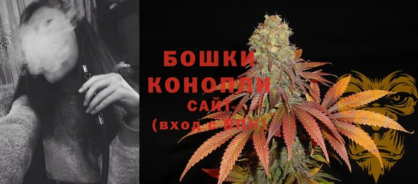 PSILOCYBIN Няндома
