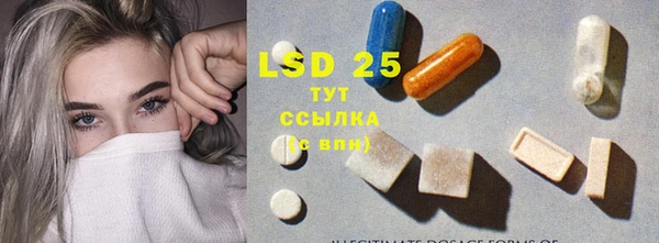 PSILOCYBIN Няндома